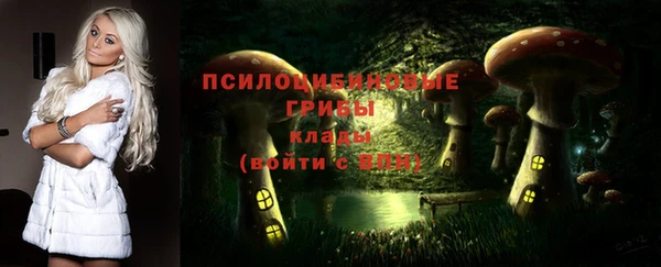 ешки Алзамай