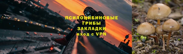 молекула духа Алексеевка
