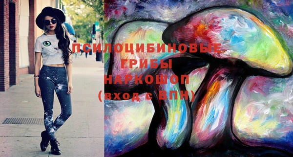 ешки Алзамай